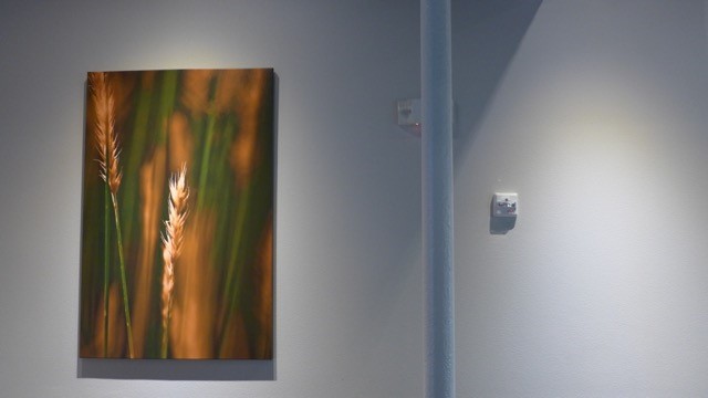 wall with wheat painting
