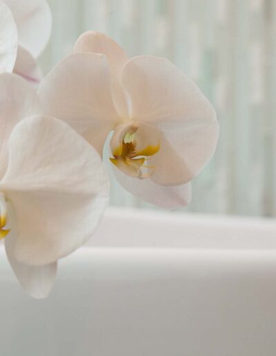 orchid flower near bathtub